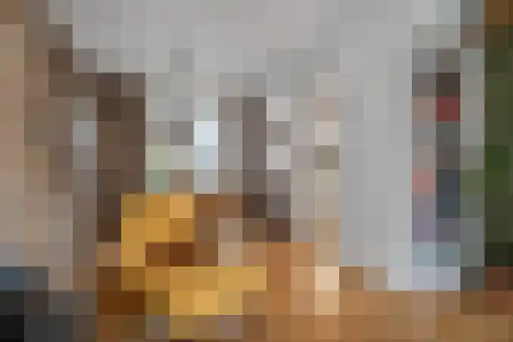 Muntmeesterstraat 22 Hedel thumbnail 14