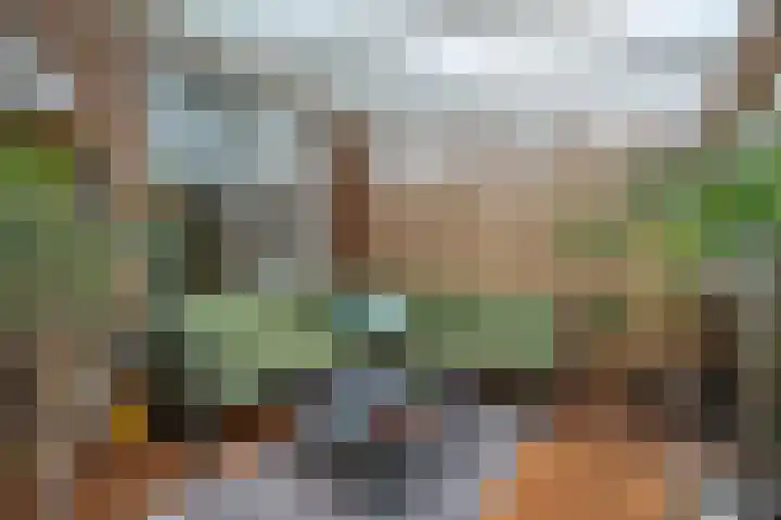 Muntmeesterstraat 22 Hedel thumbnail 4