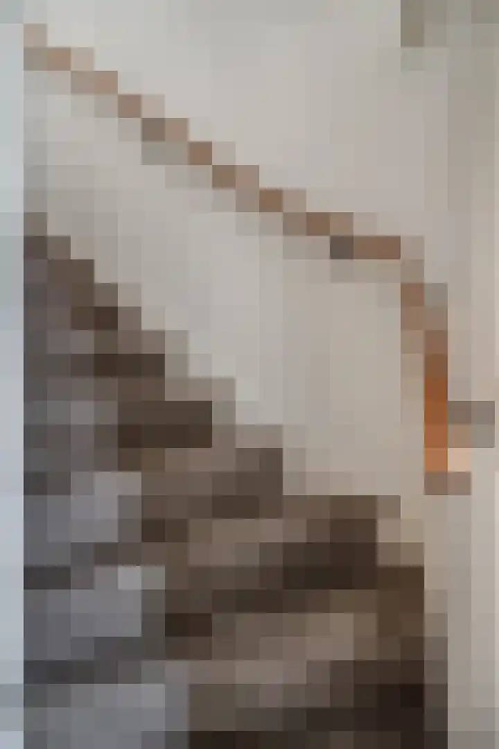 Muntmeesterstraat 22 Hedel thumbnail 8