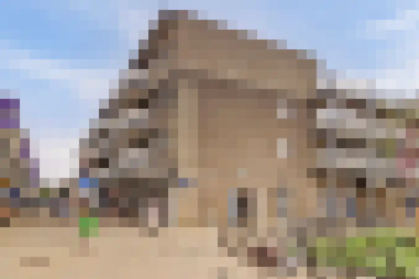 Muntplein 112 Nieuwegein thumbnail 9
