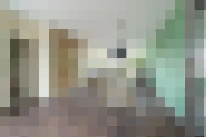 Muntplein 114 Nieuwegein thumbnail 12