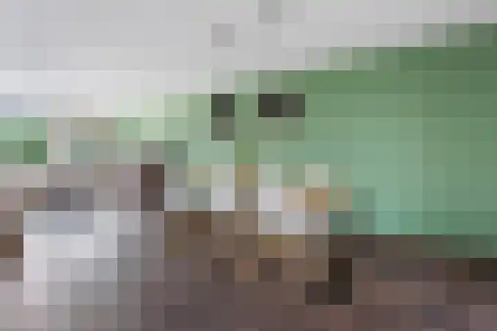 Muntplein 114 Nieuwegein thumbnail 17