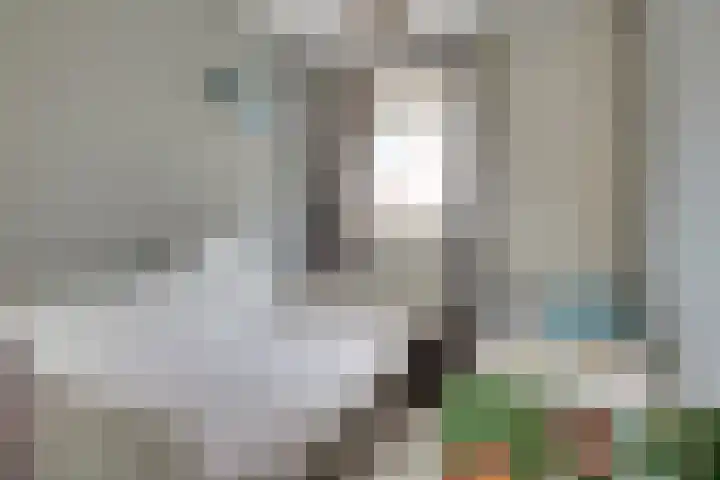 Muntplein 121 Nieuwegein thumbnail 13