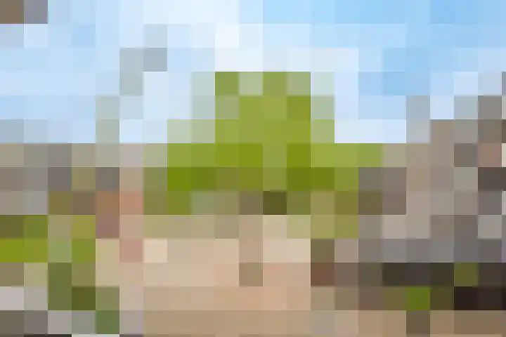 Muntplein 121 Nieuwegein thumbnail 33