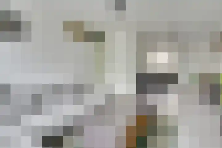 Muntplein 121 Nieuwegein thumbnail 7