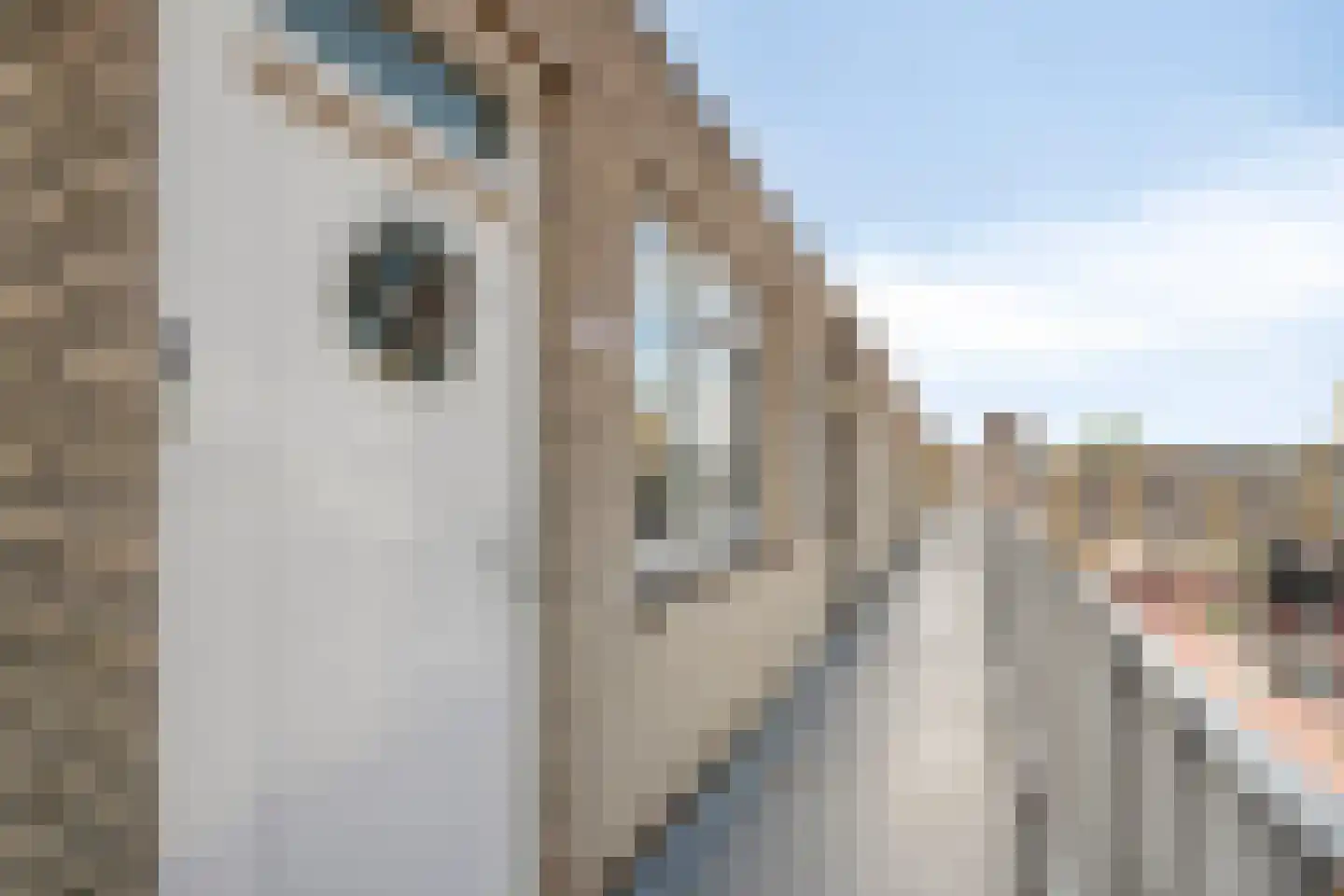 Muntplein 139 Nieuwegein thumbnail 8