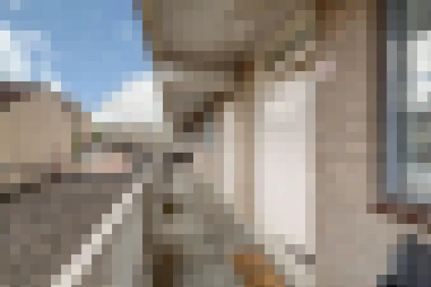 Muntplein 51 Nieuwegein thumbnail 5