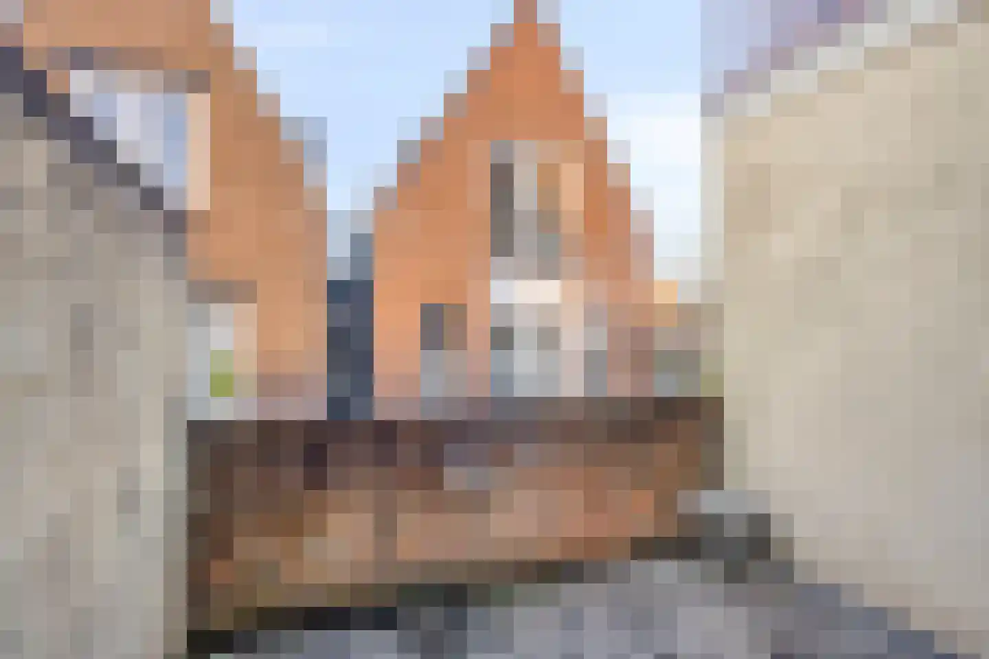 Muntplein 7 Kampen thumbnail 46