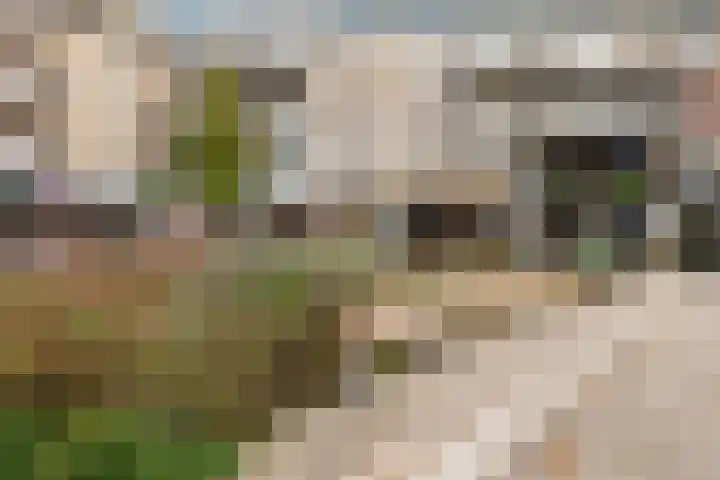 Muntplein 84 Nieuwegein thumbnail 32