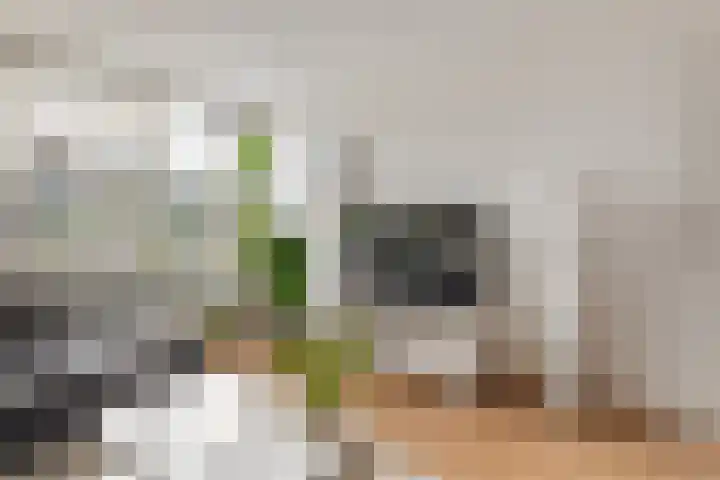 Muntplein 84 Nieuwegein thumbnail 6