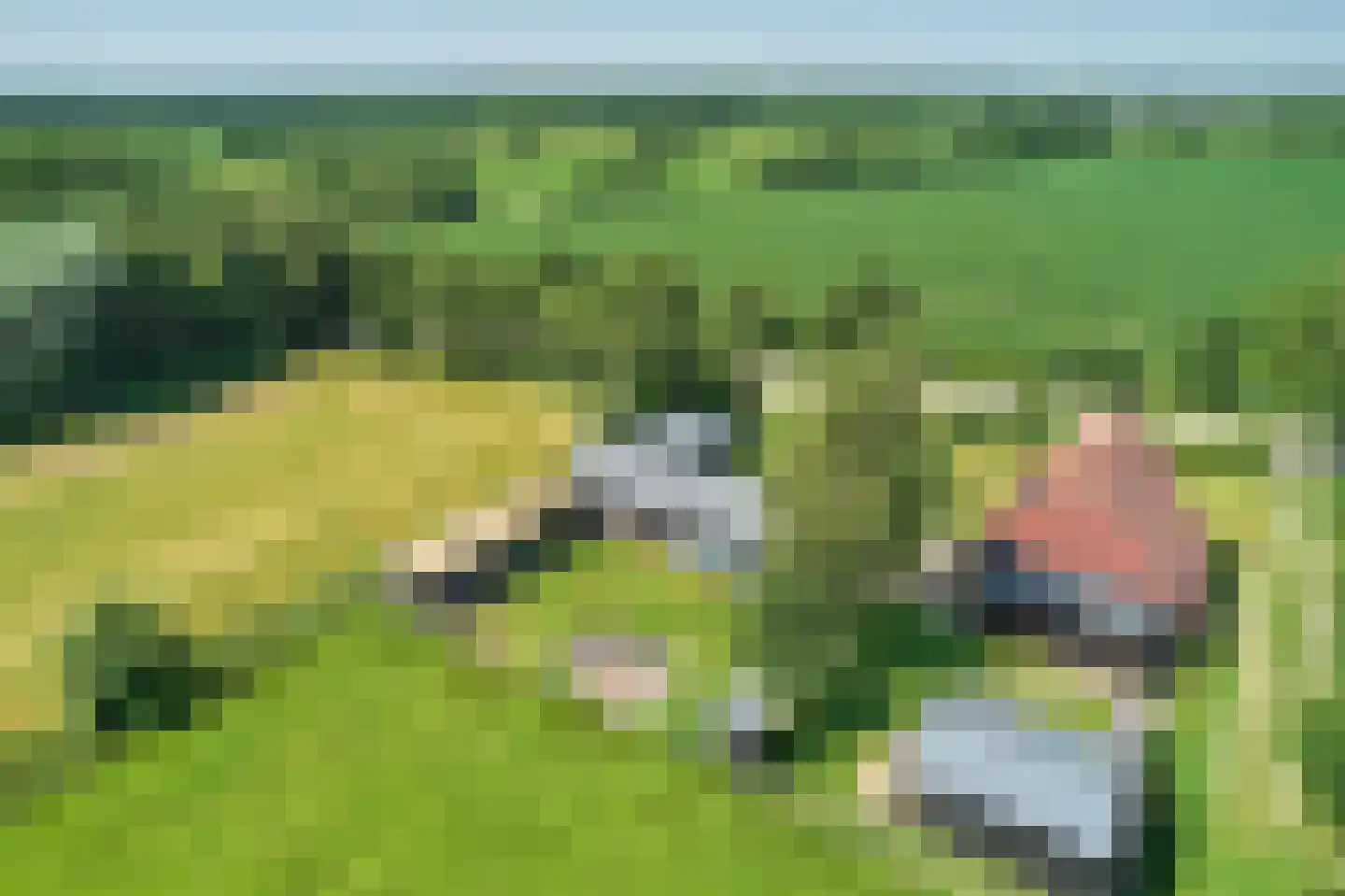 Mûntsegroppe 6 Boelenslaan thumbnail 10
