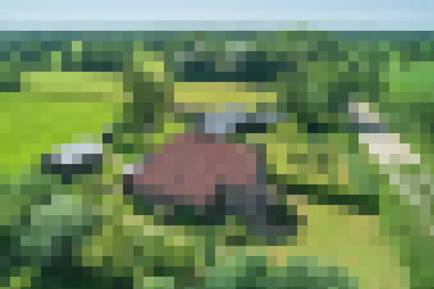 Mûntsegroppe 6 Boelenslaan thumbnail 11