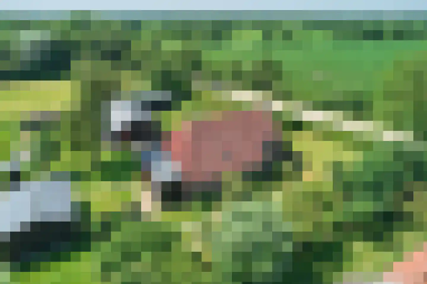 Mûntsegroppe 6 Boelenslaan thumbnail 12