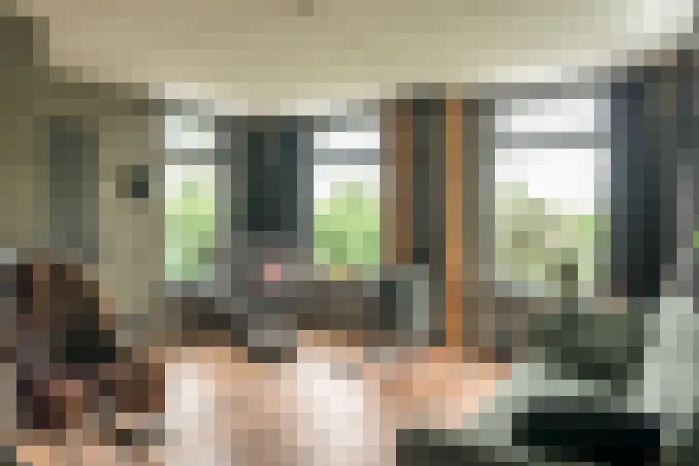 Mûntsegroppe 6 Boelenslaan thumbnail 20