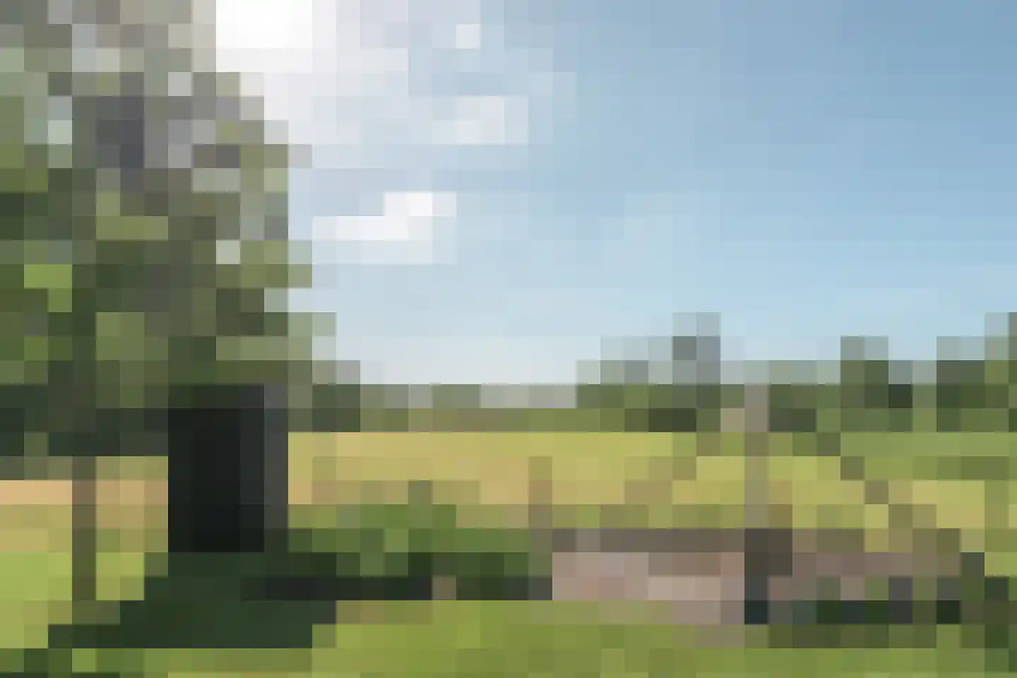 Mûntsegroppe 6 Boelenslaan foto 3