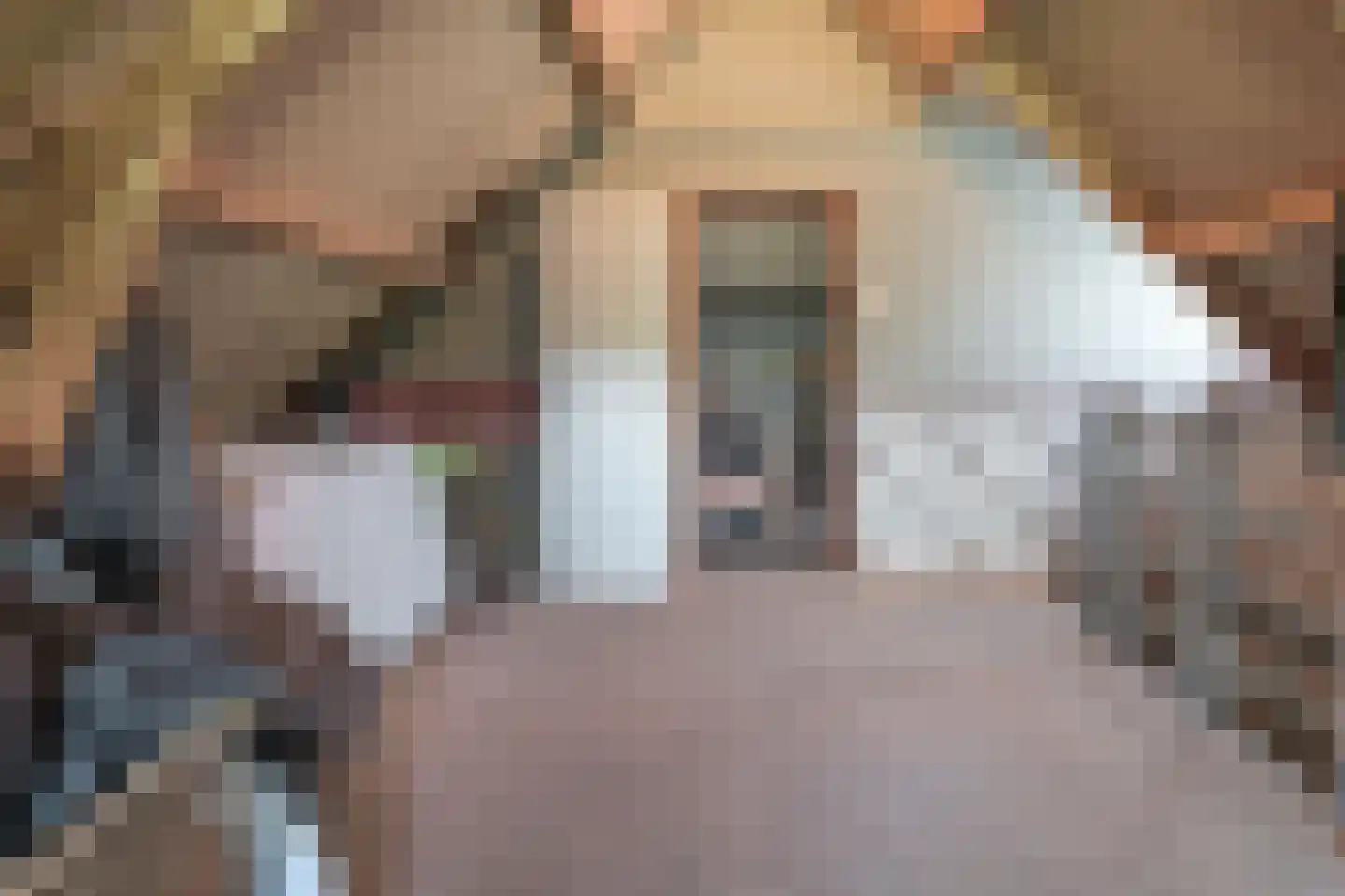 Mûntsegroppe 6 Boelenslaan thumbnail 34