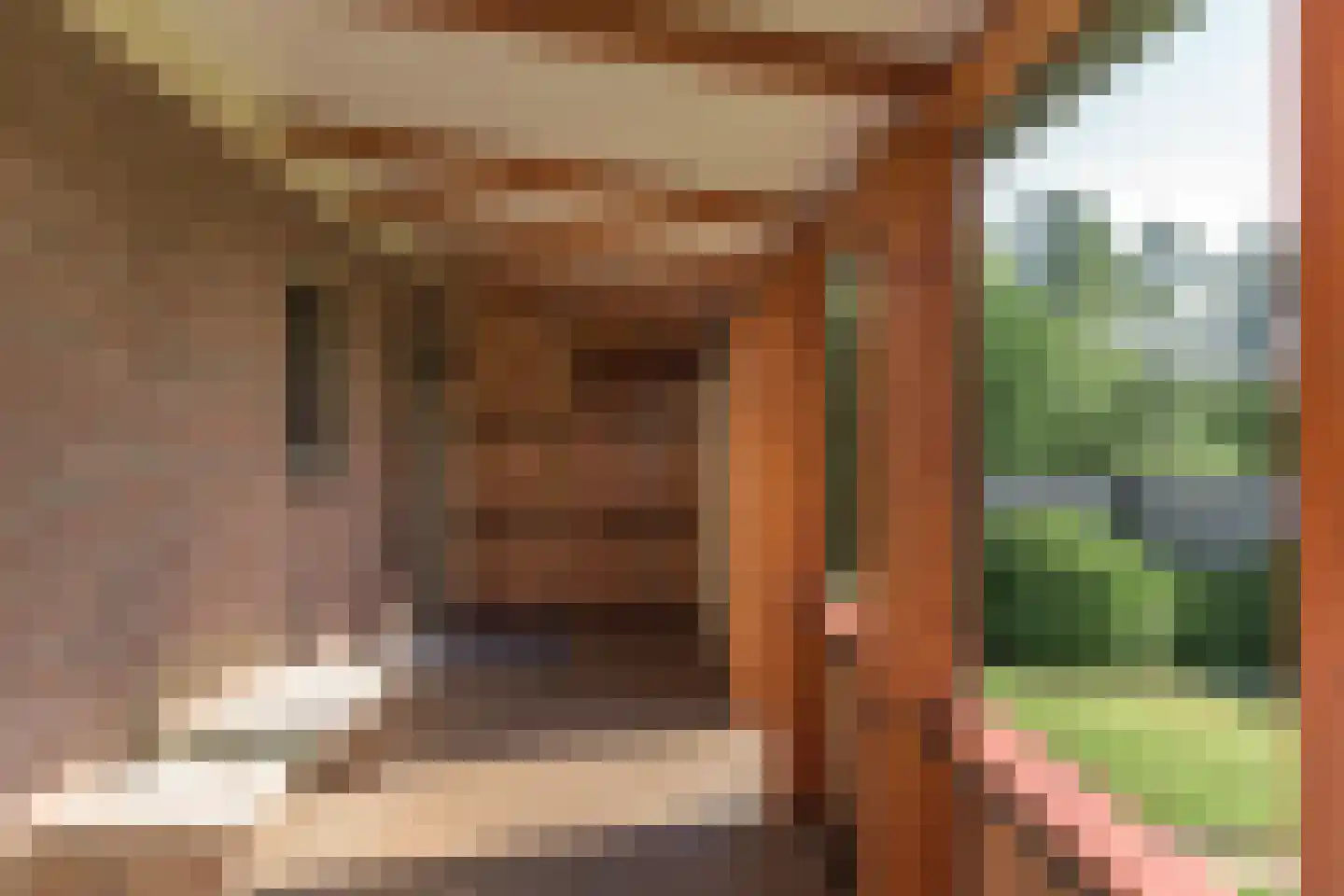 Mûntsegroppe 6 Boelenslaan thumbnail 38