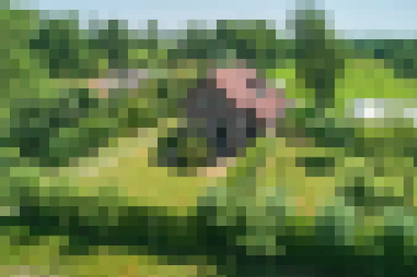 Mûntsegroppe 6 Boelenslaan thumbnail 4