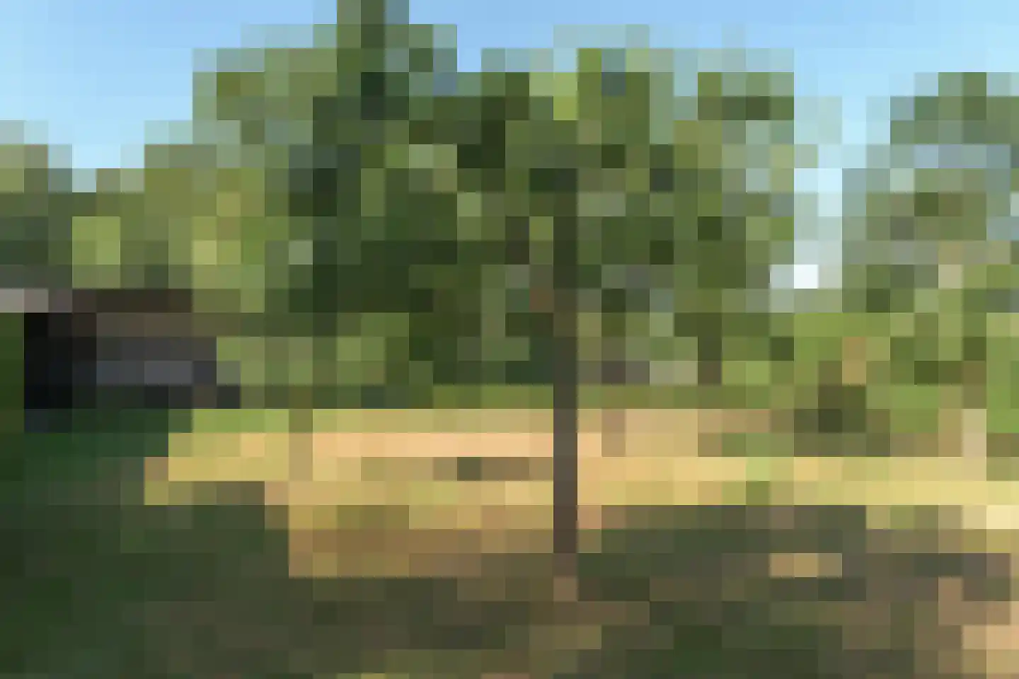 Mûntsegroppe 6 Boelenslaan thumbnail 43