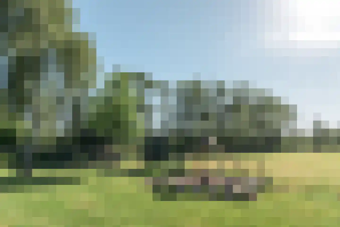 Mûntsegroppe 6 Boelenslaan thumbnail 49