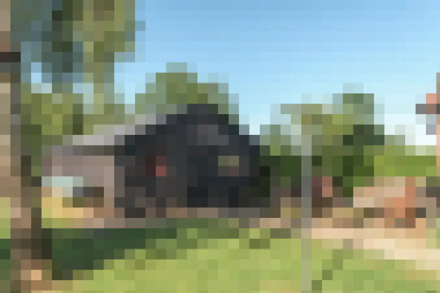 Mûntsegroppe 6 Boelenslaan thumbnail 50