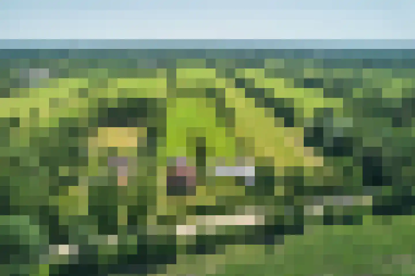 Mûntsegroppe 6 Boelenslaan thumbnail 51
