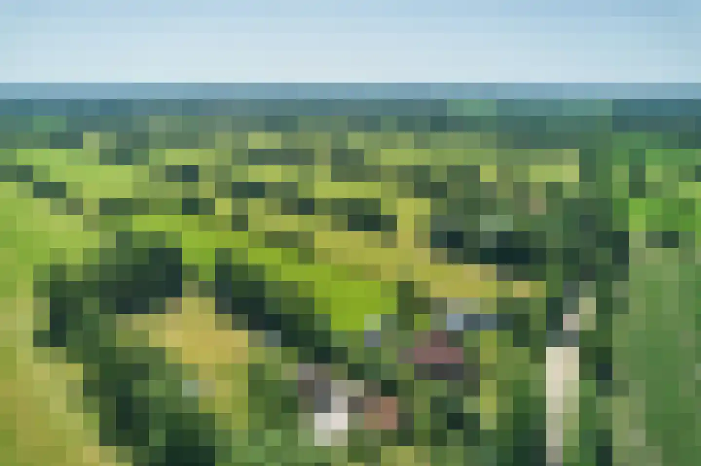 Mûntsegroppe 6 Boelenslaan thumbnail 53