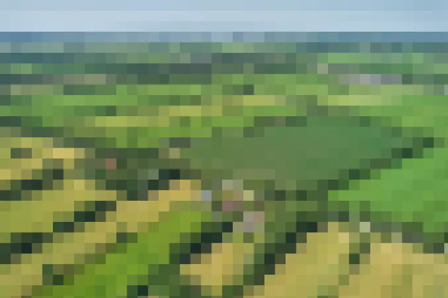 Mûntsegroppe 6 Boelenslaan thumbnail 54