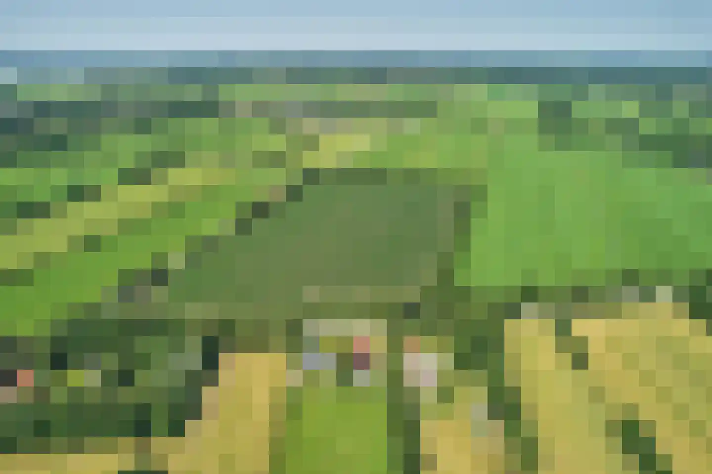 Mûntsegroppe 6 Boelenslaan thumbnail 55