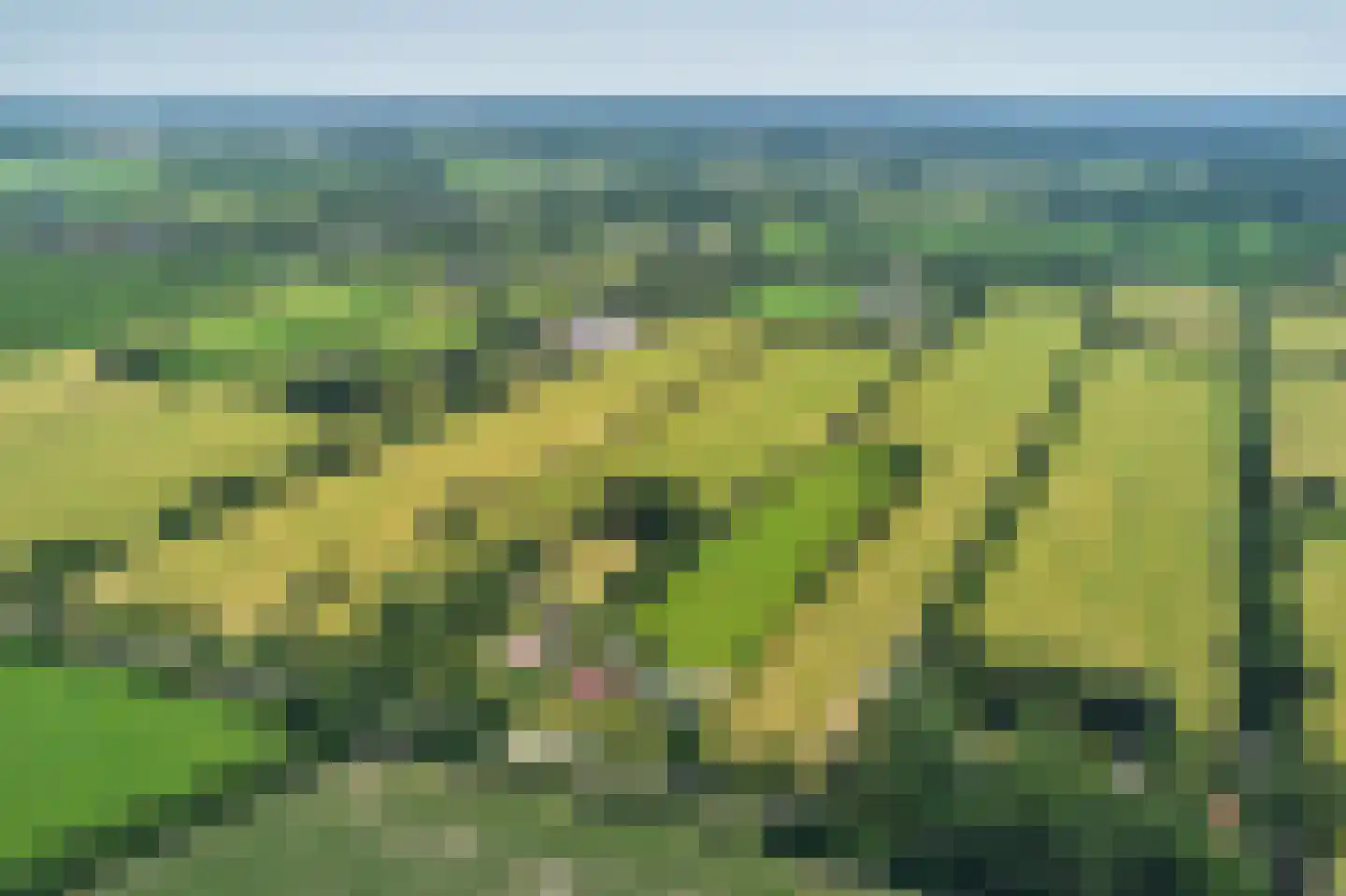 Mûntsegroppe 6 Boelenslaan thumbnail 56