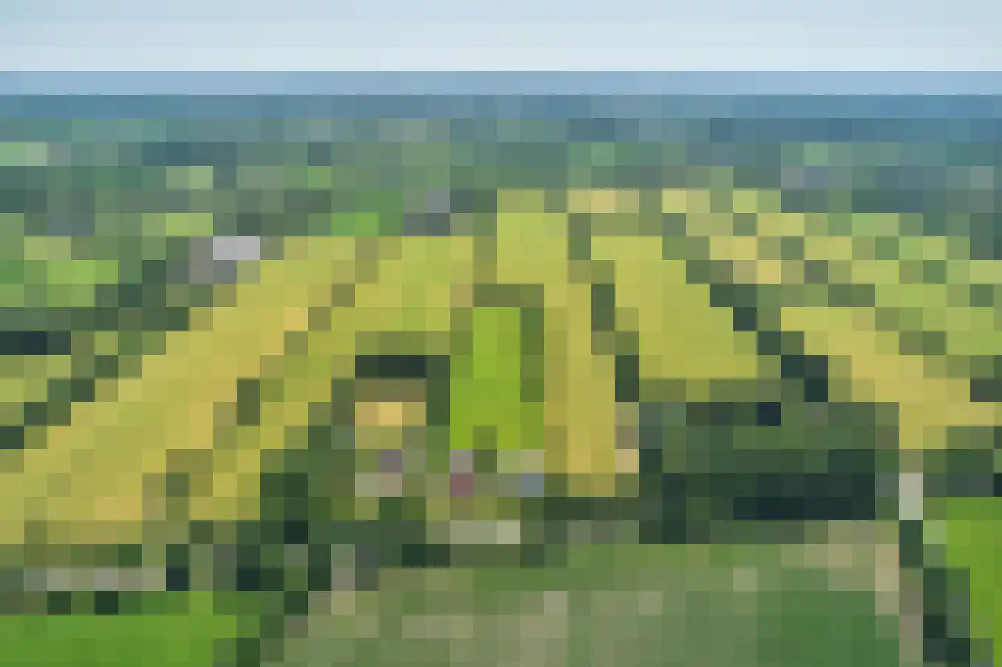 Mûntsegroppe 6 Boelenslaan thumbnail 57