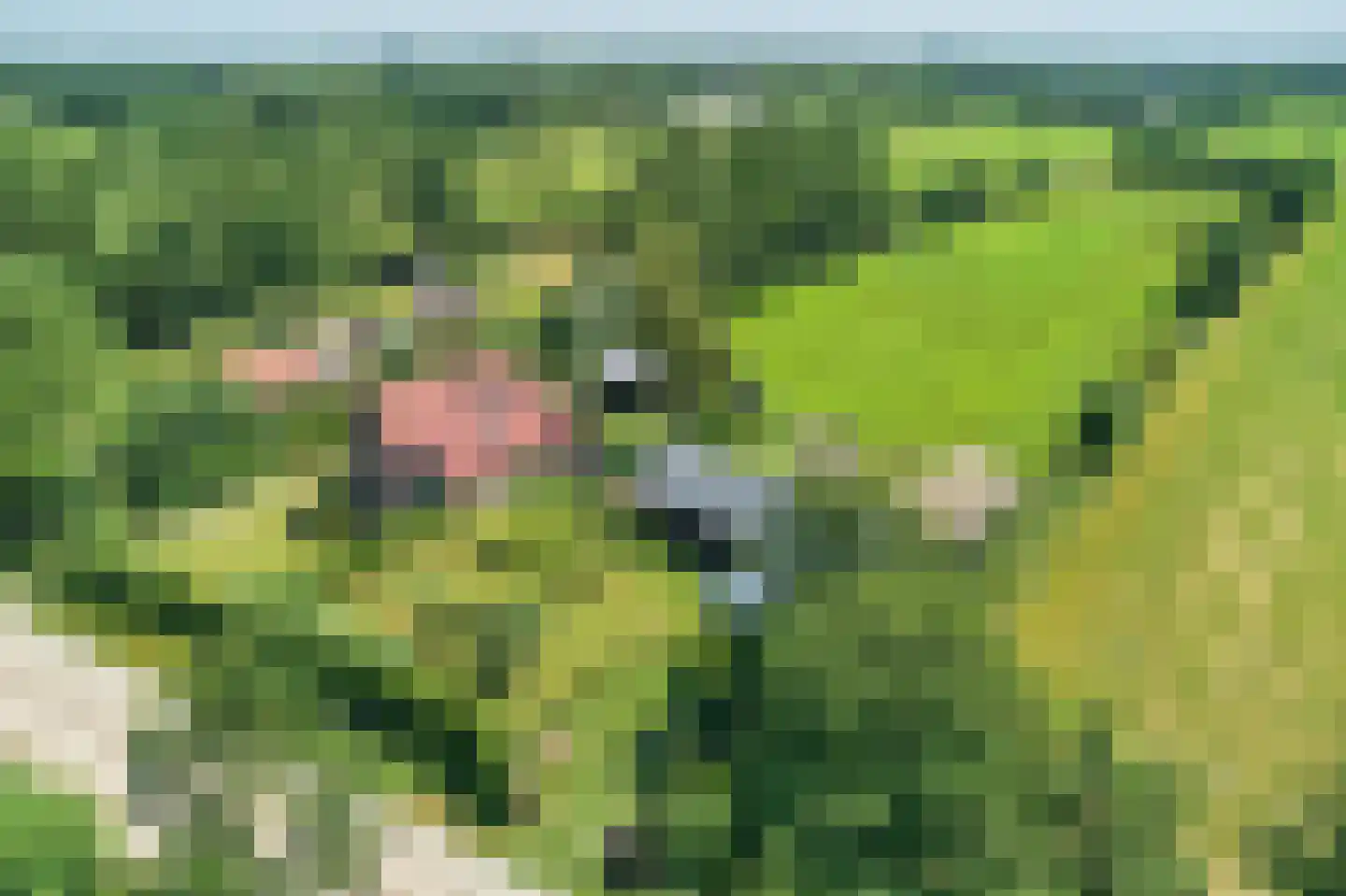 Mûntsegroppe 6 Boelenslaan thumbnail 7