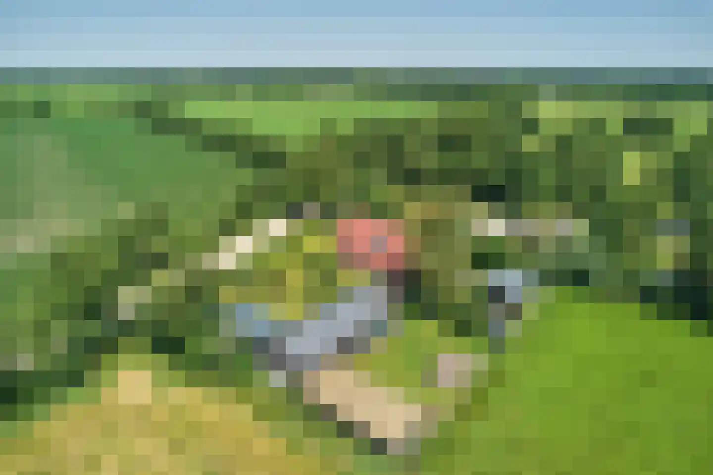 Mûntsegroppe 6 Boelenslaan thumbnail 9