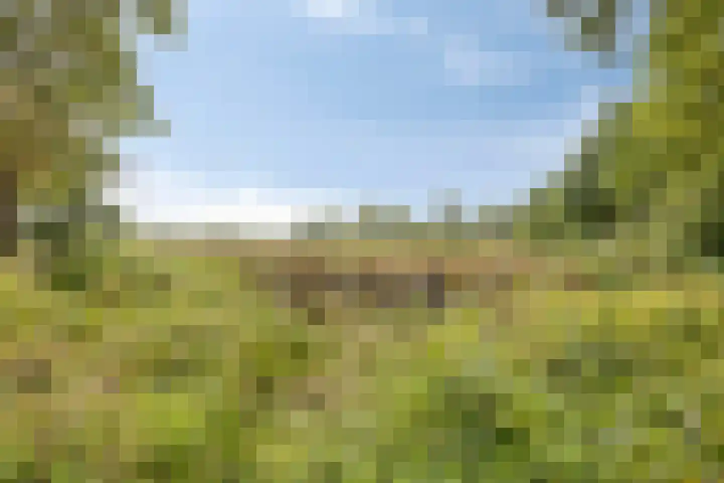 Muntsingel 21 Herkenbosch thumbnail 31