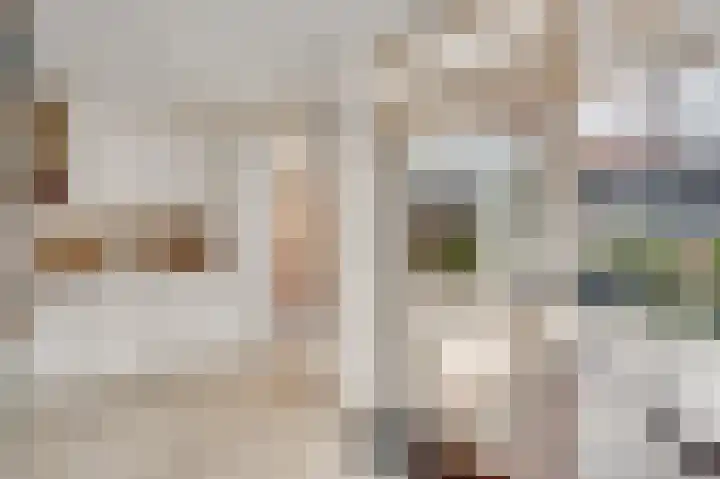 Muntsingel 38 Herkenbosch thumbnail 12