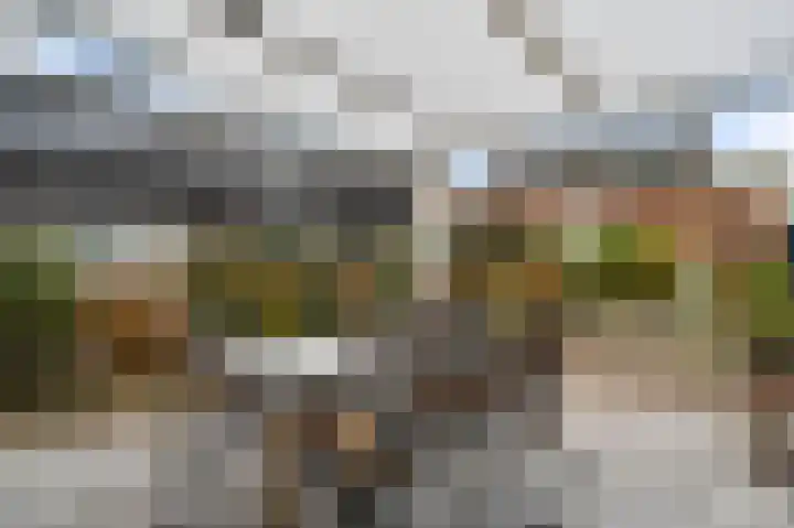 Muntsingel 38 Herkenbosch thumbnail 24