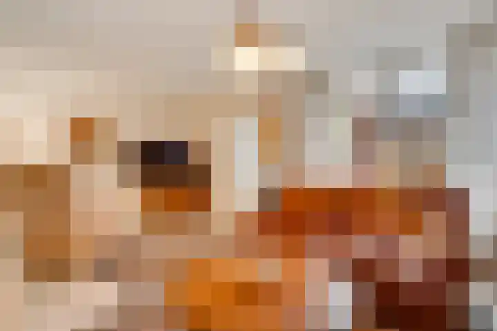 Muntsingel 38 Herkenbosch thumbnail 7