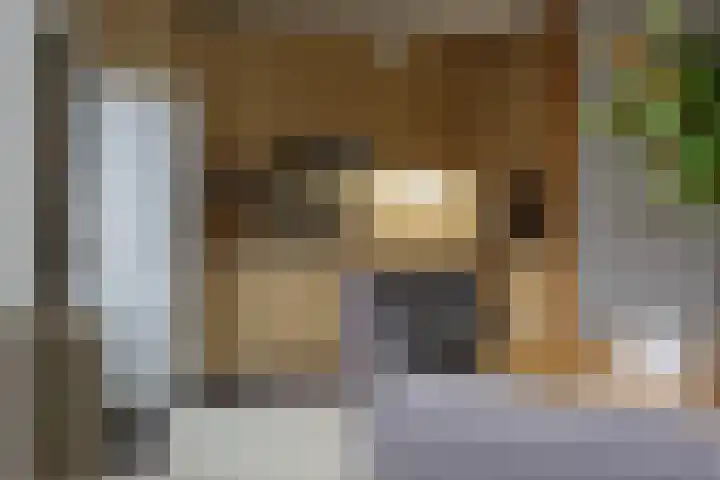 Muntslag 11 Houten thumbnail 14