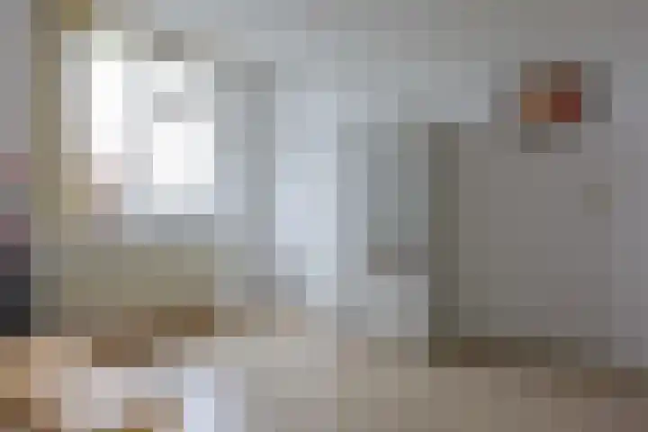 Muntslag 11 Houten thumbnail 25