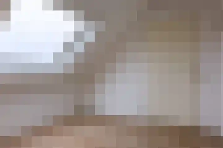 Muntslag 11 Houten thumbnail 38