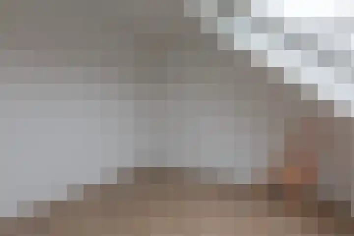 Muntslag 11 Houten thumbnail 39