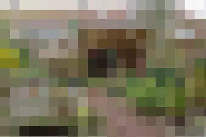 Muntslag 11 Houten thumbnail 48
