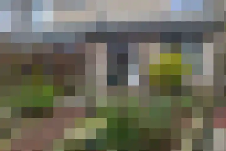 Muntslag 11 Houten thumbnail 49