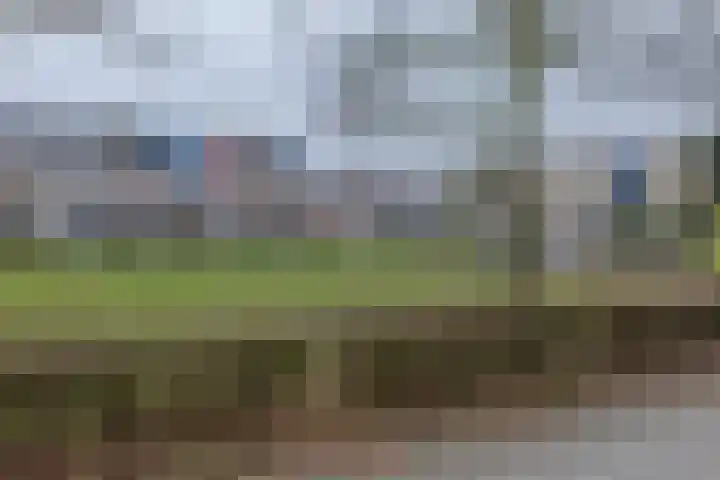 Muntslag 11 Houten thumbnail 58