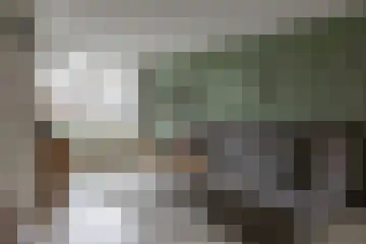 Muntslag 11 Houten thumbnail 6