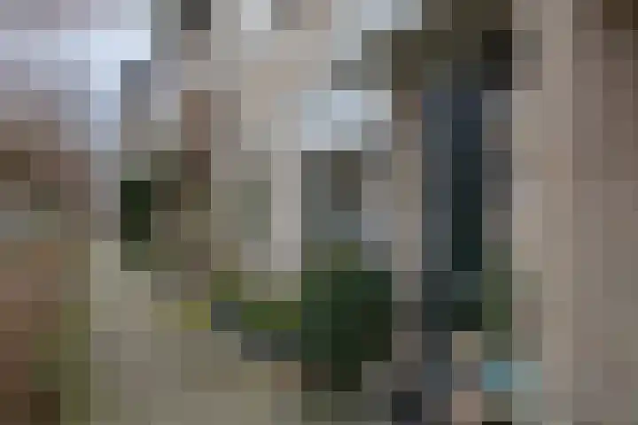 Muntslag 11 Houten thumbnail 61