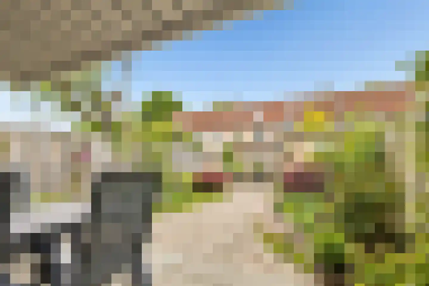 Muntslag 4 Houten thumbnail 39