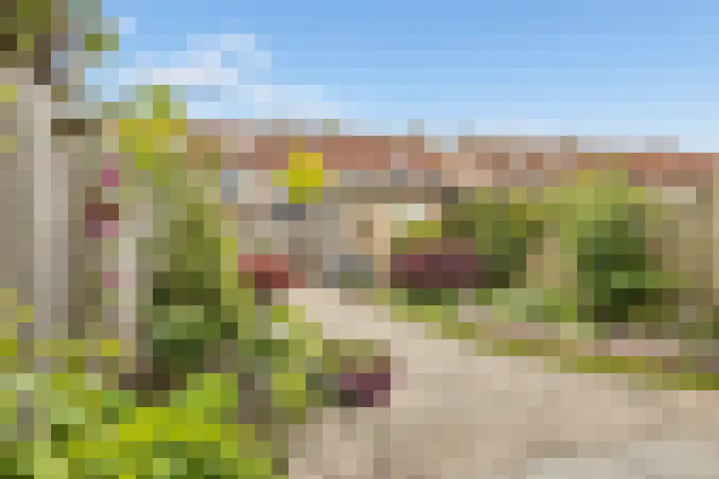 Muntslag 4 Houten thumbnail 40
