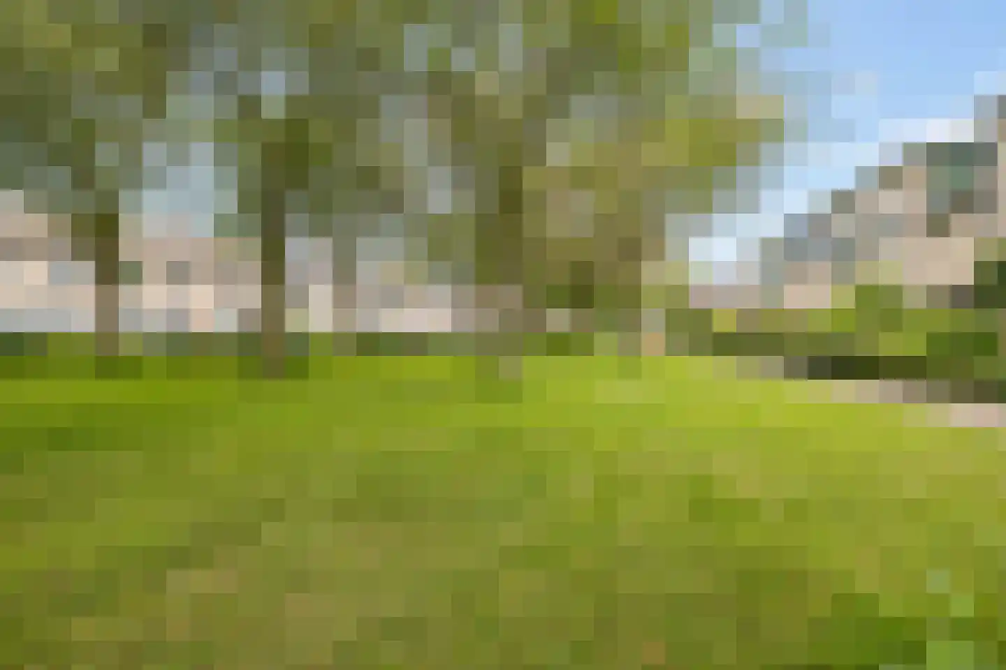 Muntslag 4 Houten thumbnail 48