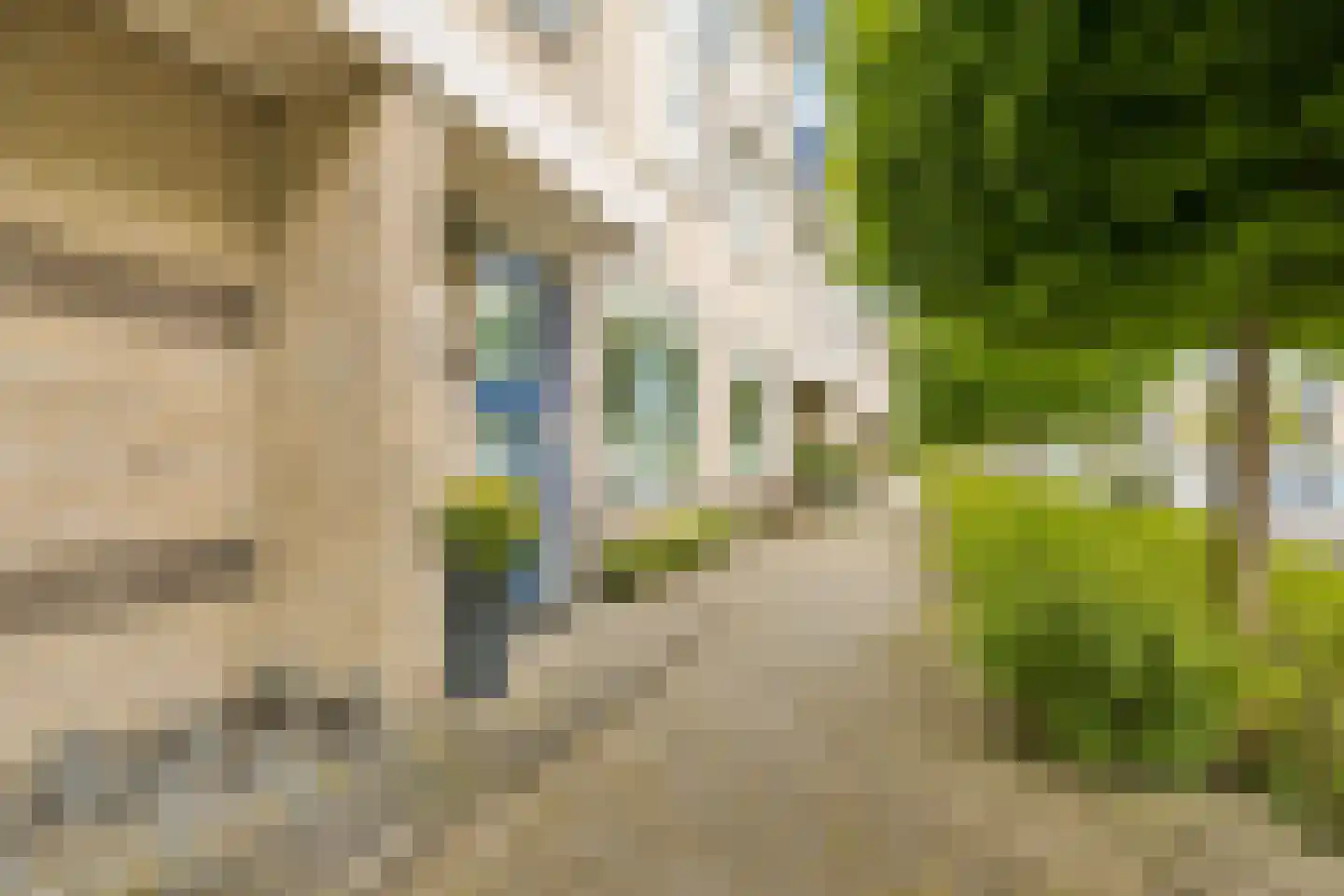 Muntslag 4 Houten thumbnail 5